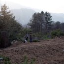 기역농장 이미지