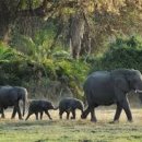 코끼리PC 이미지