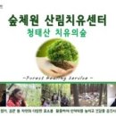 청태산 치유의 숲 이미지
