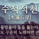 성실 태권도 이미지