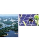 우림 태양광발전소 이미지