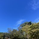 세븐일레븐 선재도목섬점 이미지