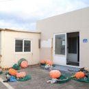 비양동 탈의장 이미지