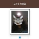 12月/ 아픈 날도 지나면 소중해질까