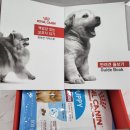 이쁘개 건강하개 이미지