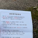 깊은골캠핑장