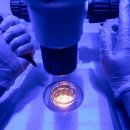 서울한방병원 이미지