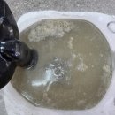 유일세탁 | 대구 동구 카페트세탁 - 강아지오줌얼룩냄새제거 유일한 방법은?