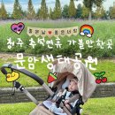 문암생태공원(바베큐장) | 청주 추석연휴 가볼만한곳 문암생태공원 바베큐장 예약 방법