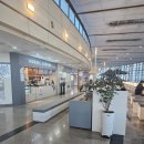 올리브영 동대구역사점 이미지