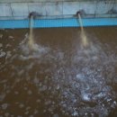 세정 사우나 이미지