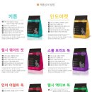 펫 로드스타 컴퍼니 이미지