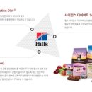 아이디얼라인 이미지