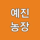 남원읍-5 | 제주 서귀포시 남원읍 타이벡 감귤 판매