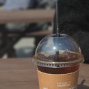 beanology(빈올로지)