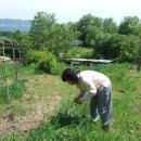 정옥농장 이미지