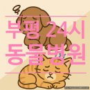 부평24시 SKY 동물의료센터 | 부평 24시 동물병원 2곳 — 위치·전화번호·주차위치 확인