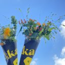 뮌헨호프 이미지