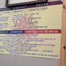 사비향 | 부여 사비향 후기 | 국립부여박물관 근처 가족식사 맛집