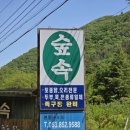 숲속식당 네이버블로그