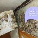 제비네1길 이미지