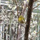 새행운약국 이미지