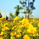 세종공원 이미지