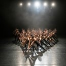 한국현대춤협회 이미지