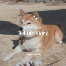 월당화옥 이미지