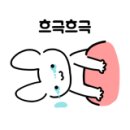 이쁘개(이동애견미용) 이미지