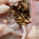 하림통닭 이미지