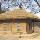 백수식당 이미지