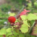 고흥해창만바닷깨비마을 | 남파랑길 68코스 (전남 고흥군)