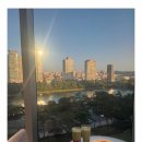 강동원약국