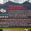 광주목장 이미지