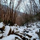 고.굽.집 이미지