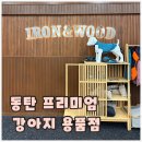 안녕 강아지 | 동탄 강아지용품점 아이언앤우드 후기 - 논스톱도그웨어 시착 가능한 프리미엄 편집샵
