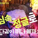 해인아쿠아마린&정글