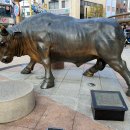 강원특별자치도속초시 중앙로147번길 12 속초관광수산시장(2024.12.01) 이미지