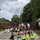 전진태권도 | 태권도 연합 주말 특강 현장 후기 [푸른별태권도 광안동태권도 수영구태권도 찬스태권도 수영역태권도]
