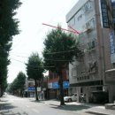 도봉-도봉-서울도봉-2128 이미지