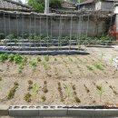 가덕농장 이미지