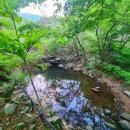 오서산 늘봄 가족독채펜션 이미지