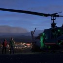 pet176나8690 이미지