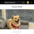 디그루밍 이미지