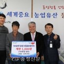 금산인삼영농조합 이미지