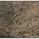 산새랑 게스트하우스 이미지