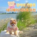 이편한세탁사랑 | 유어하루 강아지 니트 추천 강아지 활동하기 편한 가을 옷 후기