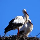 한국폴리텍 II 대학 인천캠퍼스 이미지
