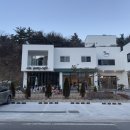 디포니 이미지
